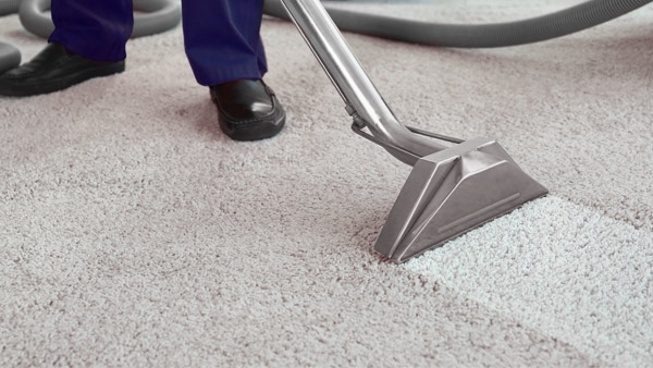 Professional Carpet Cleaning Like In Lubbock Texas