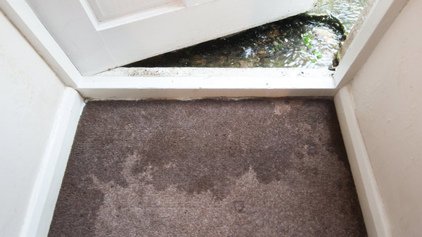 Water seeping into home and onto carpet.